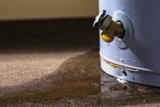 Best Flood damage cleanup  in Shelby, MS