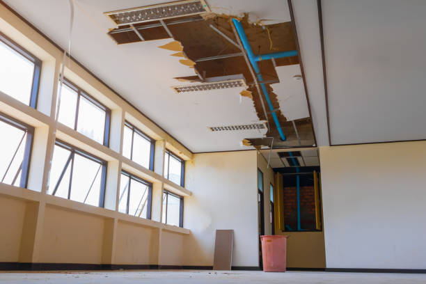 Best Water damage contractors near me  in Shelby, MS
