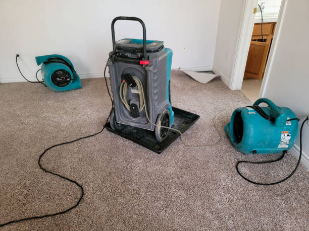 Best Flooded house restoration  in Shelby, MS
