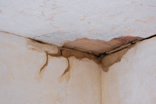 Best Local water damage restoration  in Shelby, MS