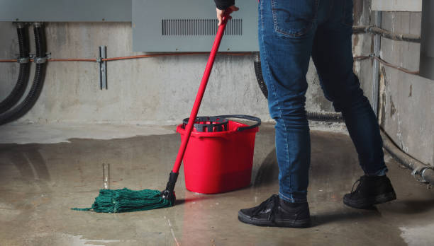 , MS Water damage restoration Company