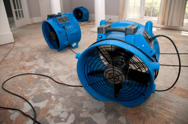 Best Emergency water damage restoration  in Shelby, MS