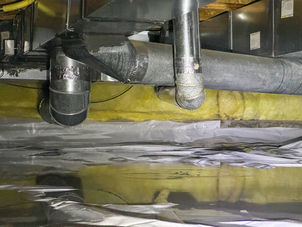Best Professional water damage repair  in Shelby, MS