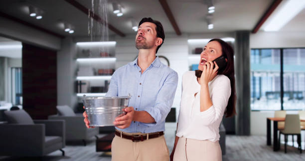 Best Mold removal after water damage  in Shelby, MS